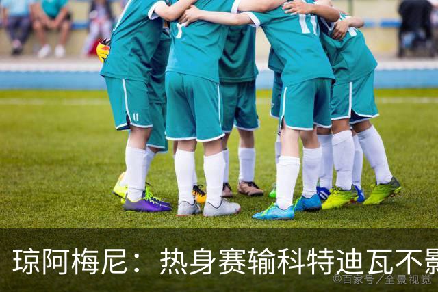 琼阿梅尼：热身赛输科特迪瓦不影响法国，可以说是一次小小的提醒